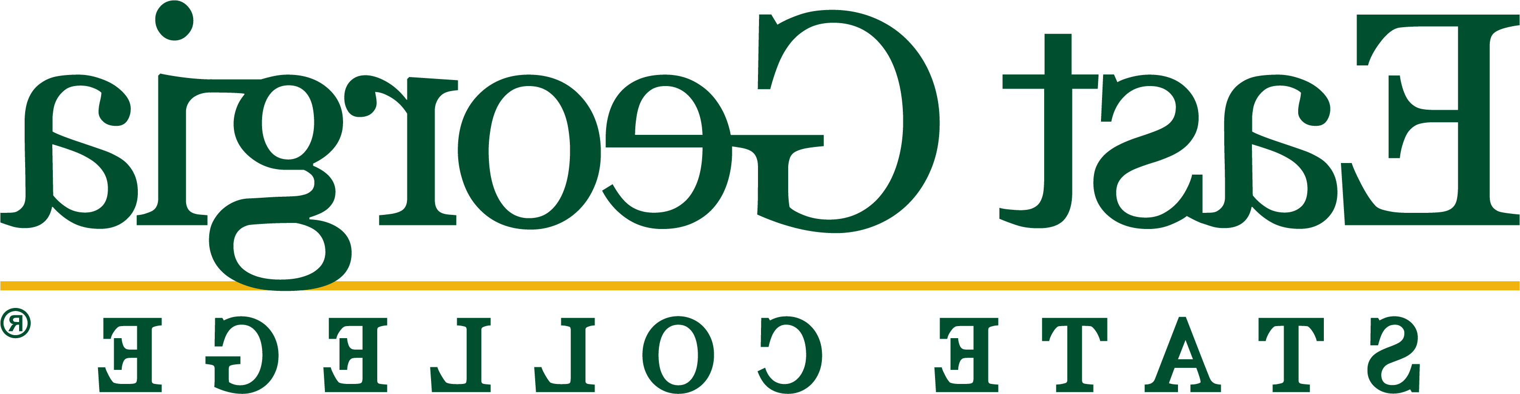 East Georgia State 大学 logo